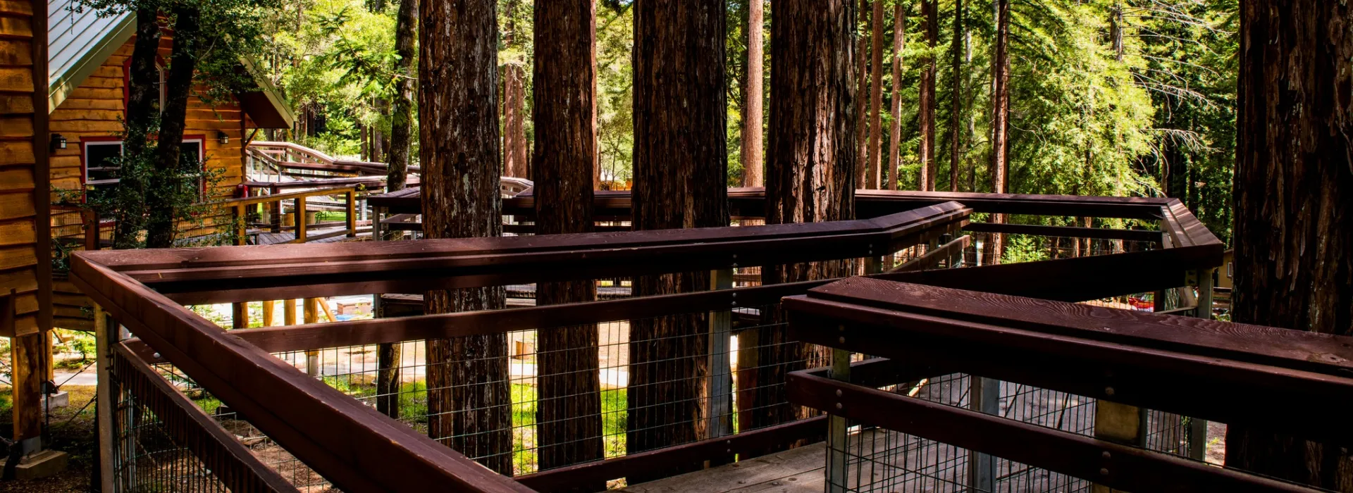 elevated walkway