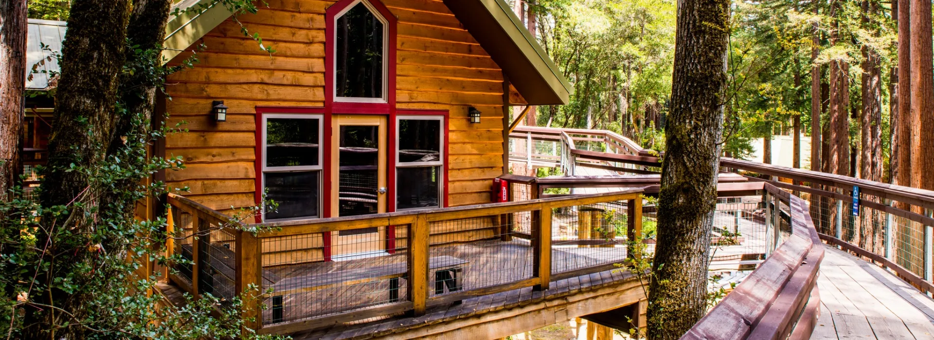 porch of a summer camp cabin