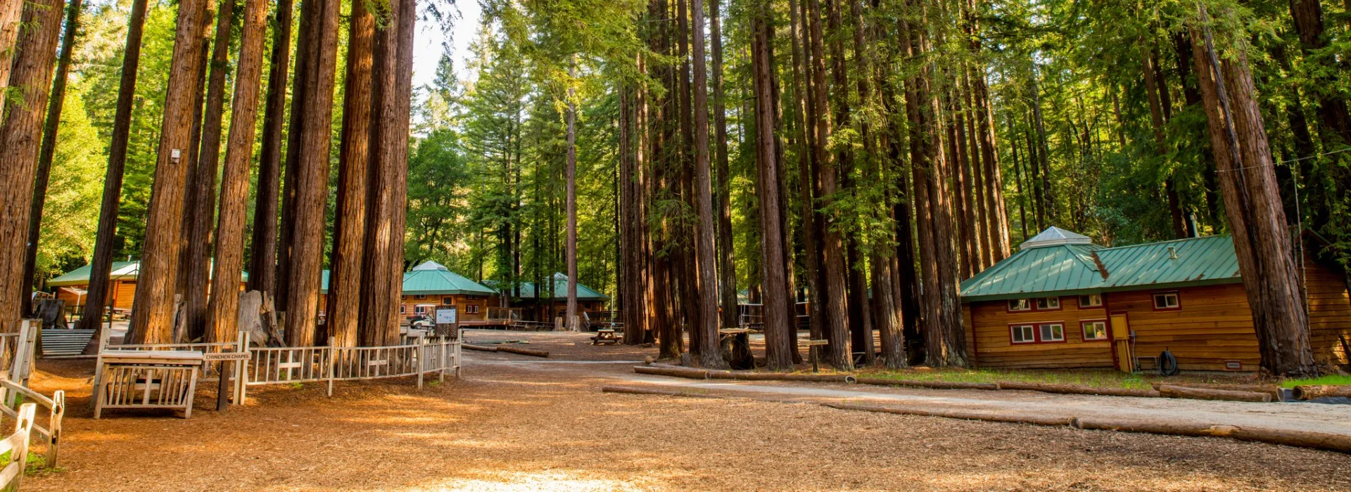 summer camp scene