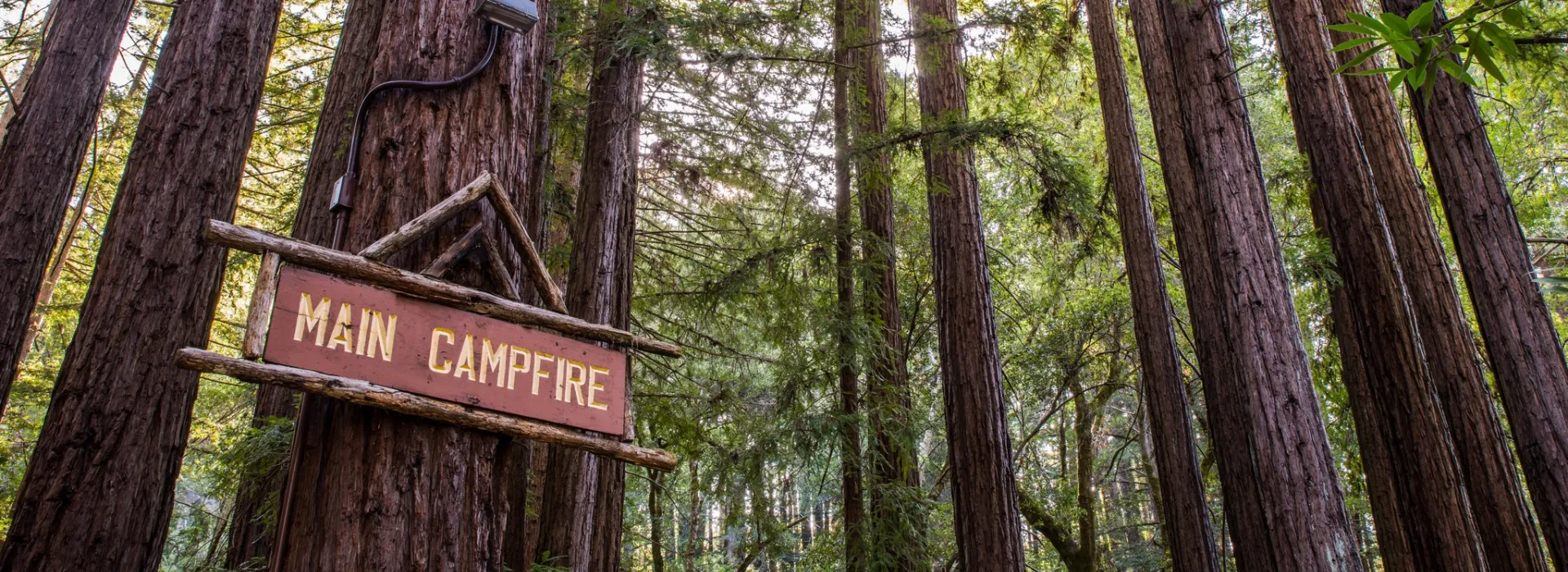 A sign that reads main campfire bolted to a tree
