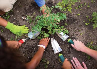 Kids gardening