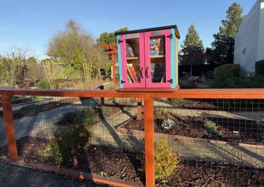 Little Free LIbrary box