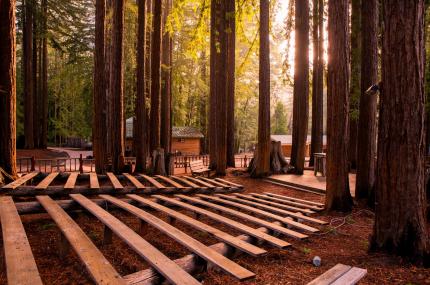 outdoor forest chapel