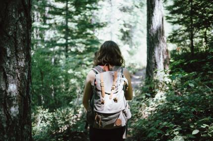 hiking through the redwoods