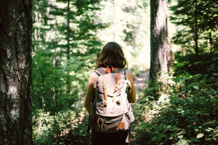 redwoods hiker