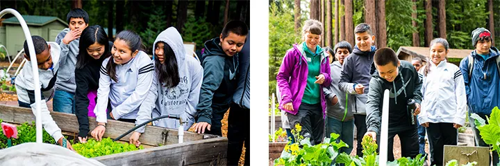 Kids exploring the garden
