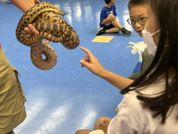 Hands-on Science with YSI