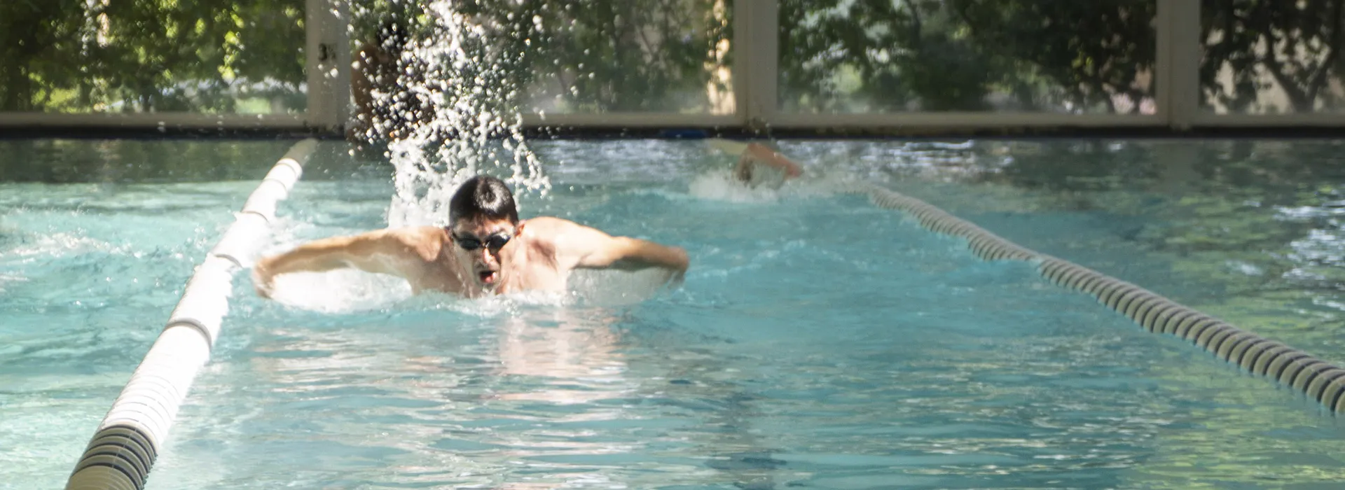 Swimmer