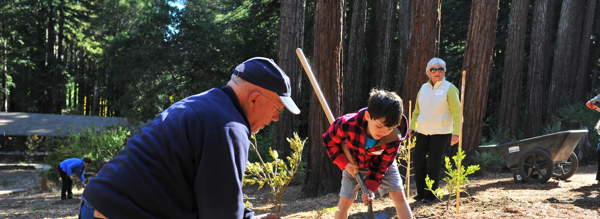 adult and child planting a tree