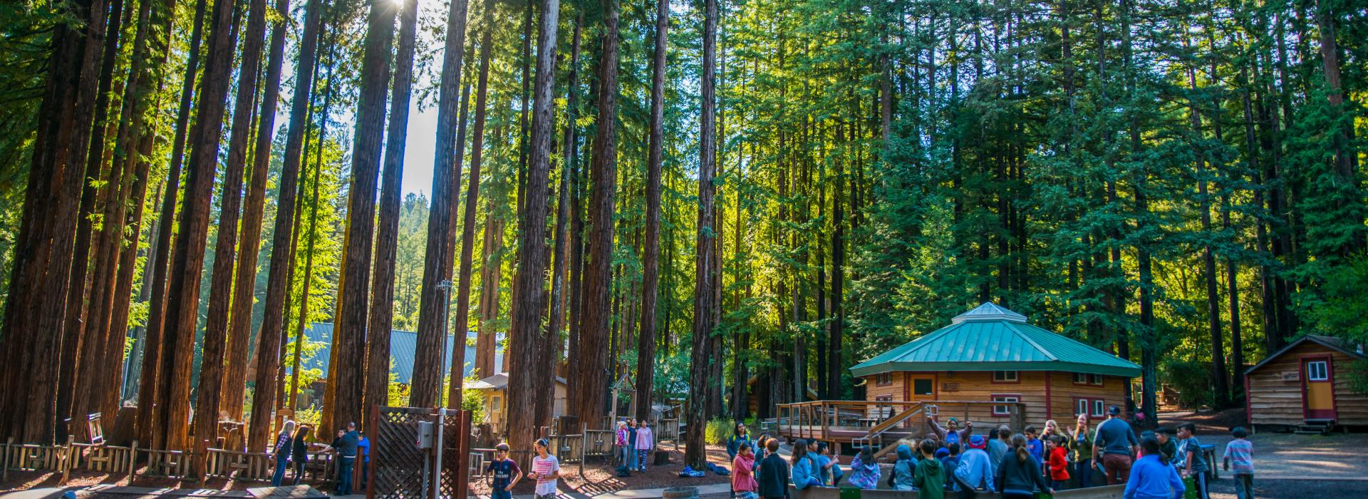 Outdoor picture of Camp Campbell showing 5th and 6th graders sitting in a circle. Large trees surround the camp area.