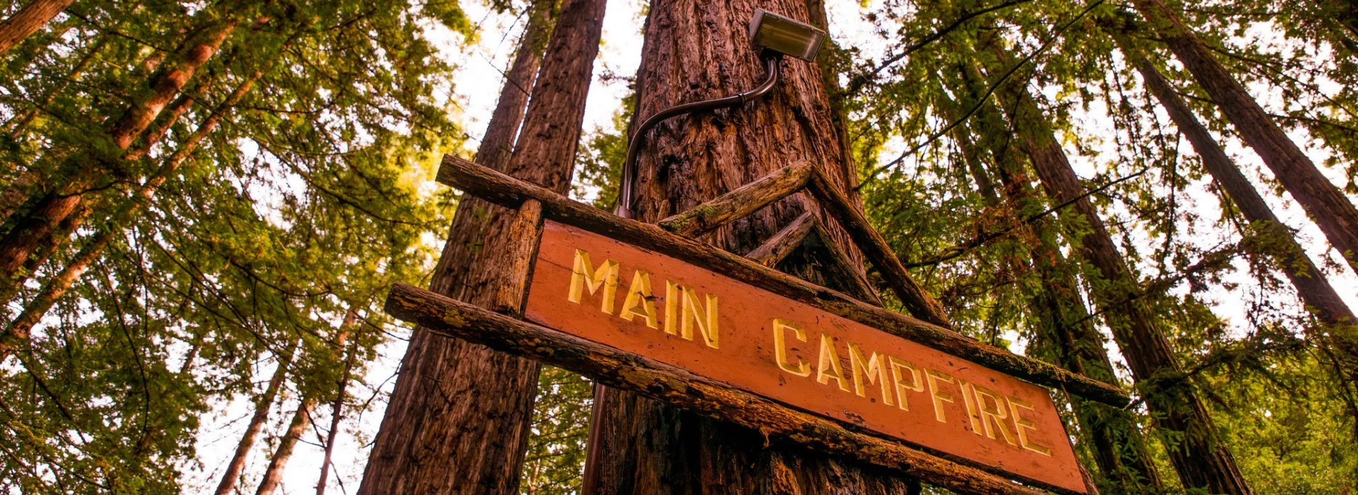 sign on tree that reads &quot;main campfire&quot;