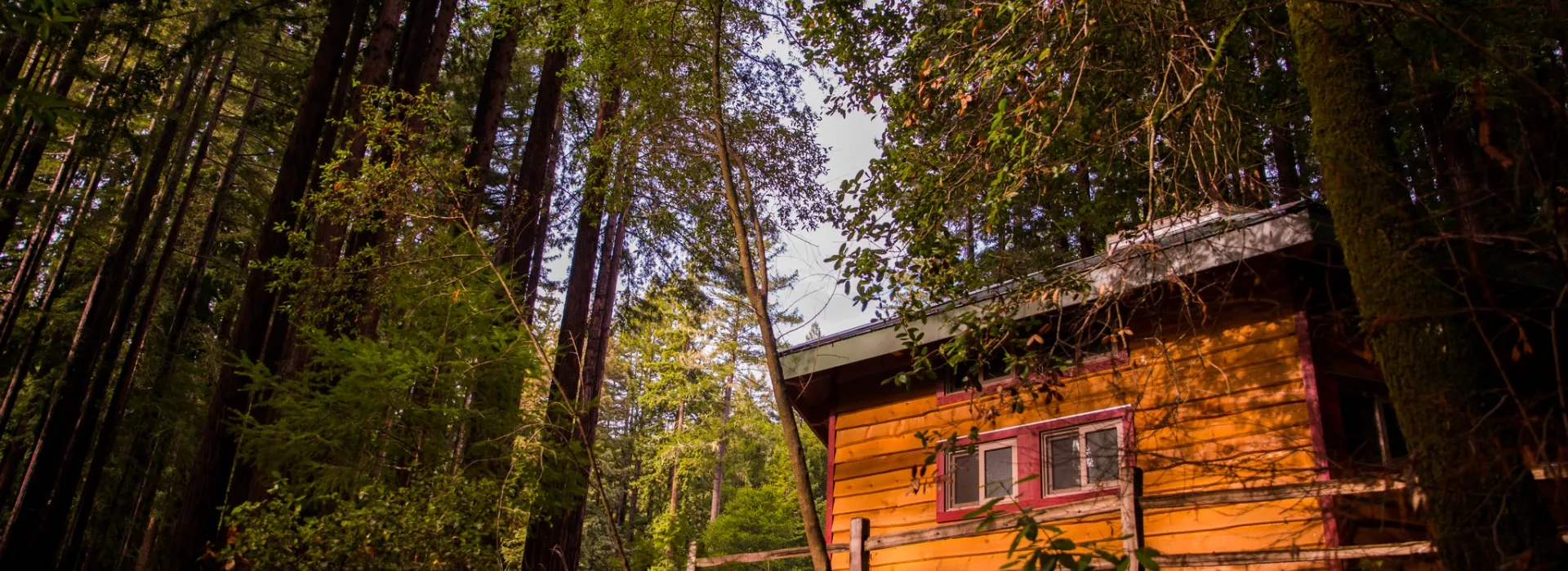 exterior shot of cabin