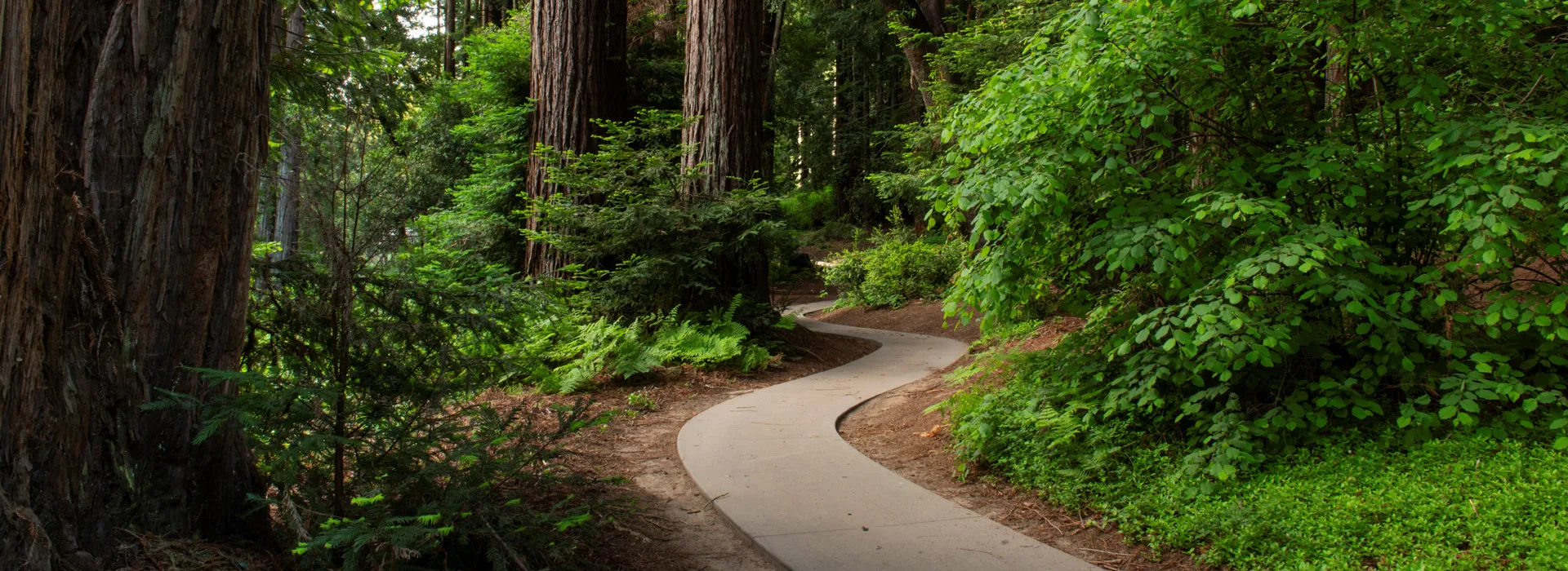 Weddings at YMCA Camp Campbell